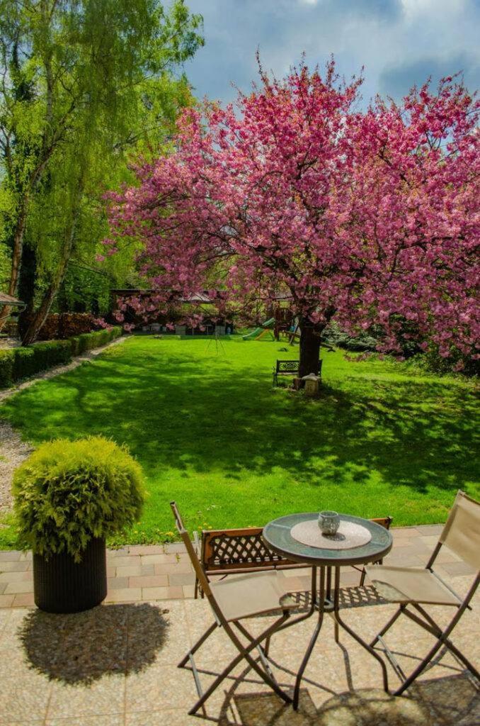 Shubu Zen Vendégház Szilvásvárad Exterior foto